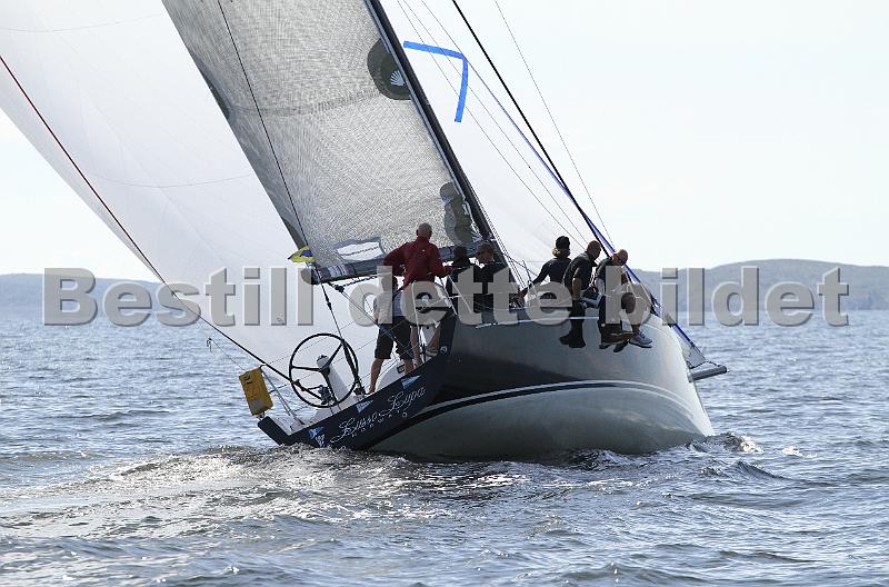 ORCi2 272.jpg